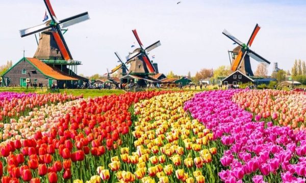 Se acerca el cambio: Esta será la denominación oficial de Holanda