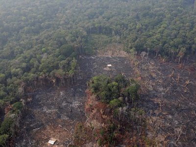 Vaticano propone reforestar en Amazonía por emisiones del Sínodo