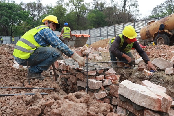 Obras avanzan con construcción de pilotes en el Botánico