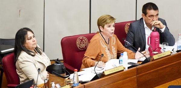 Masi adelanta que PDP votará en contra de aumentos para el PGN 2020 - Nacionales - ABC Color