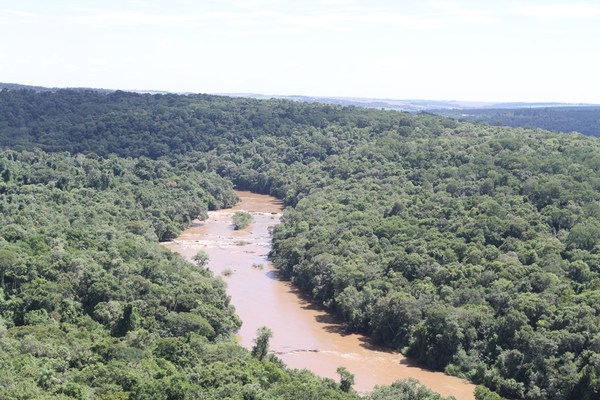 El Infona promueve una gestión forestal sostenible del país  | .::Agencia IP::.