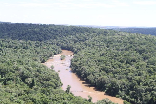 El Infona promueve una gestión forestal sostenible del país | .::Agencia IP::.