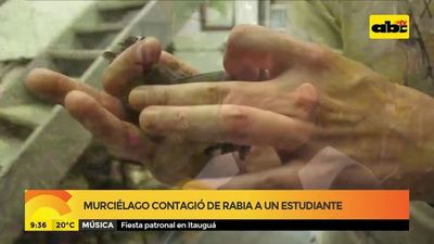 Murciélago contagió de rabia a un estudiante - ABC Noticias - ABC Color
