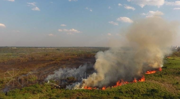 HOY / Fiscalía sigue pasos a quienes  pudieron haber iniciado el fuego en el Parque Guasú