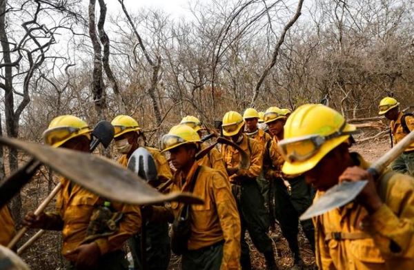 En Bolivia, lluvias apagan incendios y quedan 4 millones de hectáreas quemadas » Ñanduti