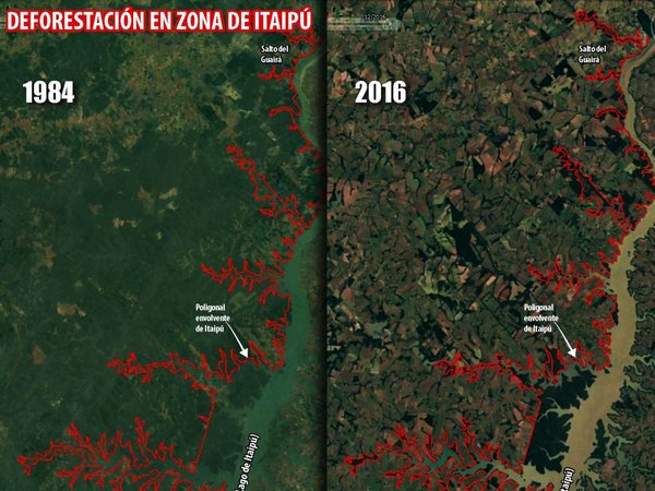 Itaipú elogia plan de reforestación, pero mapeo muestra degradación