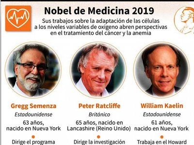 Nobel de Medicina premia  estudios sobre vínculo entre células y  oxígeno