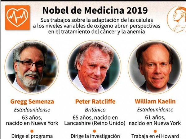Nobel de Medicina premia estudios sobre vínculo entre células y oxígeno