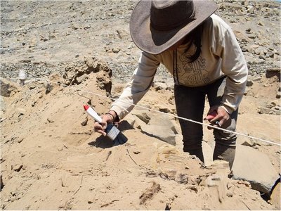 Descubren restos de un perro enterrado hace 1.000 años