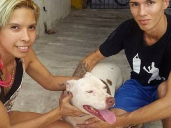Amber, la pitbull de Dalma, es feliz con su nueva dueña
