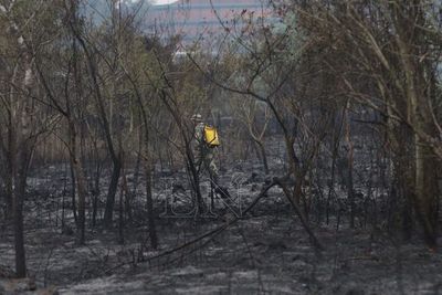 Tras incendio, buscan restaurar el Parque Guasu