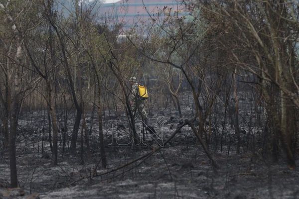 Tras incendio, buscan restaurar el Parque Guasu