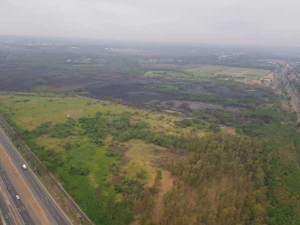Instituciones planean reforestar Parque Guasu tras incendios