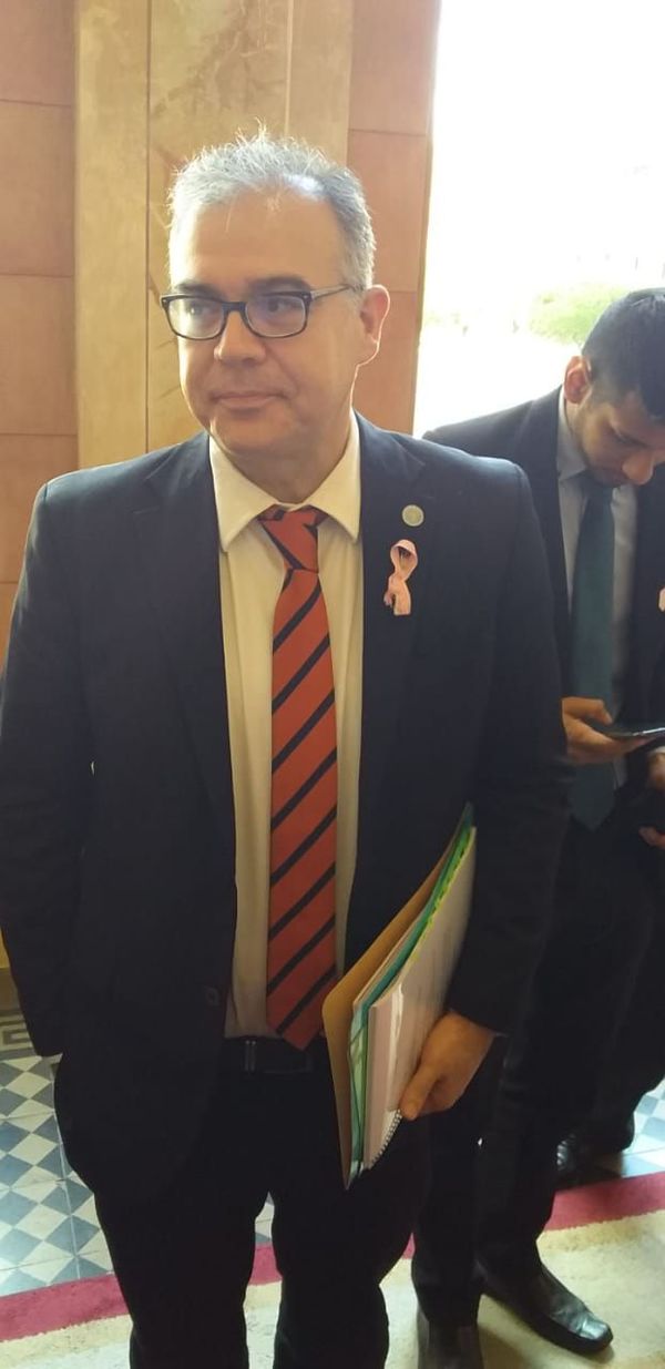 Todo apunta a que Ullón irá a la Secretaría Técnica de Planificación - Nacionales - ABC Color