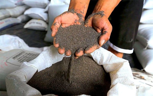 Chía paraguaya atrae el interés de los mercados europeos en la feria de alimentos | .::Agencia IP::.