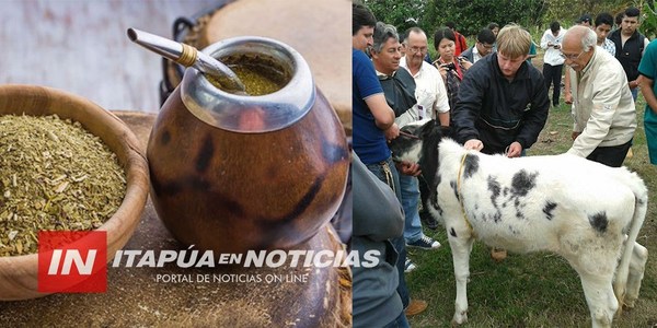 CNEL. BOGADO SE PROYECTA COMO DISTRITO PRODUCTOR DE LECHE Y YERBA MATE