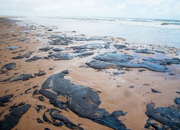 Manchas de petróleo en playas de Brasil - Internacionales - ABC Color