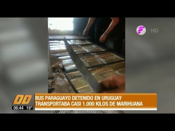 Detienen bus paraguayo con 1.000 kilos de marihuana en Uruguay