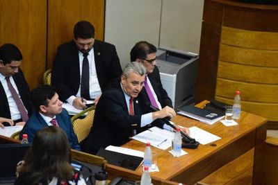 Villamayor da a entender que la inseguridad es una cuestión de “percepción” - Nacionales - ABC Color