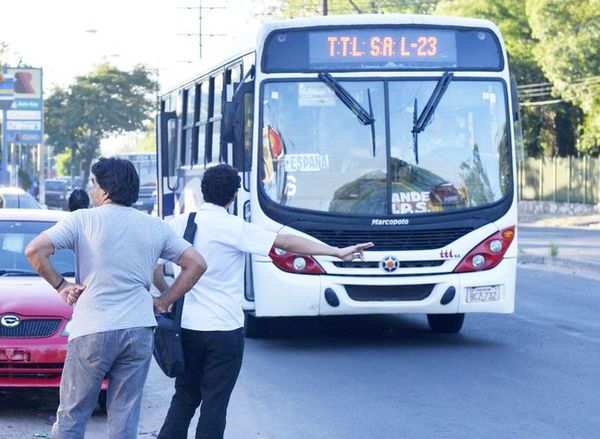 Suspenden paro de transporte » Ñanduti