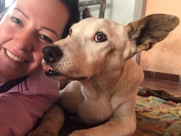 Falleció Mandy, la perrita que fue símbolo del maltrato animal