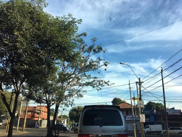 Jueves caluroso y sin lluvias, anuncia Meteorología