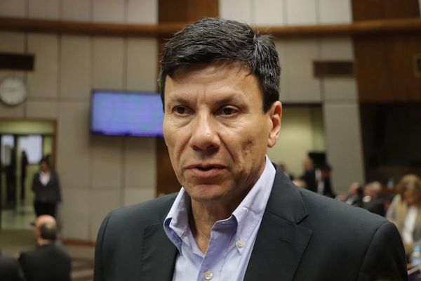 Harms: “Indert es la caja chica de Friedmann; la porción que le corresponde en la repartija” - ADN Paraguayo