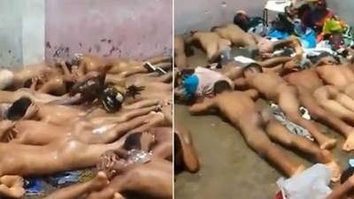 Crueldad en una comisaría de Maduro: peleas de gallos sobre presos desnudos - ADN Paraguayo