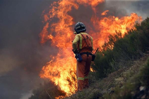 Organizan Karu Guasu y festival artístico a beneficio de bomberos forestales » Ñanduti