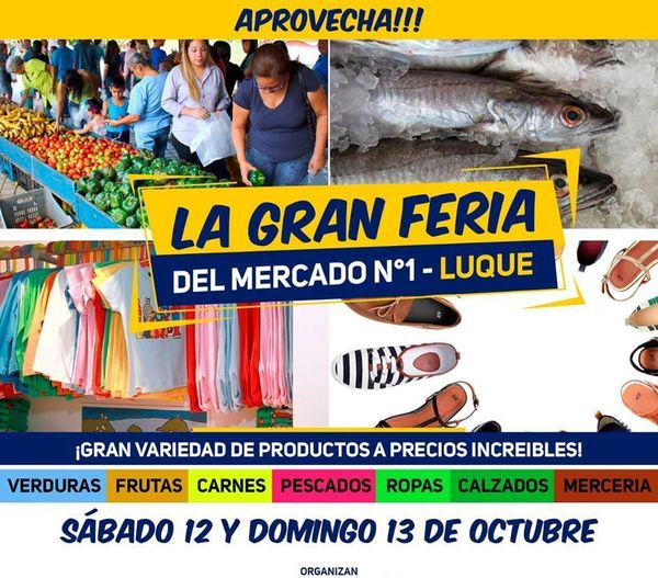 Llega gran feria en el Mercado N°1 •