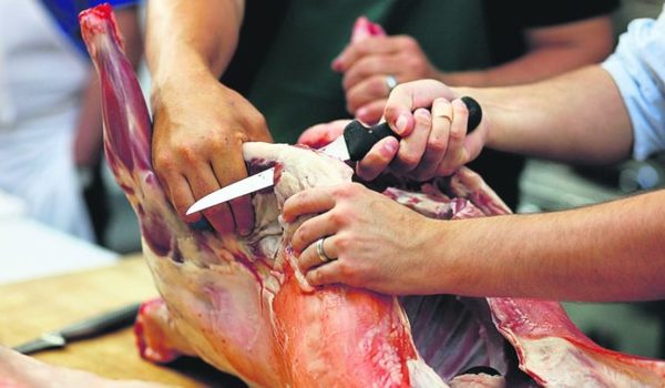 Argentina gestiona la habilitación para vender carne ovina a Estados Unidos