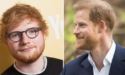 Mirá el mensaje del Príncipe Harry y Ed Sheeran por el “Día de la Salud Mental”