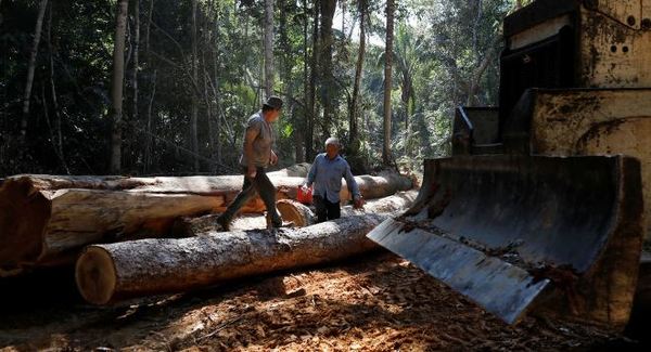 Bolsonaro asegura que la Amazonía está «casi totalmente preservada | .::Agencia IP::.