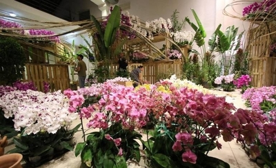 HOY / Taiwán tratará de ampliar en Paraguay la industria de la orquídea