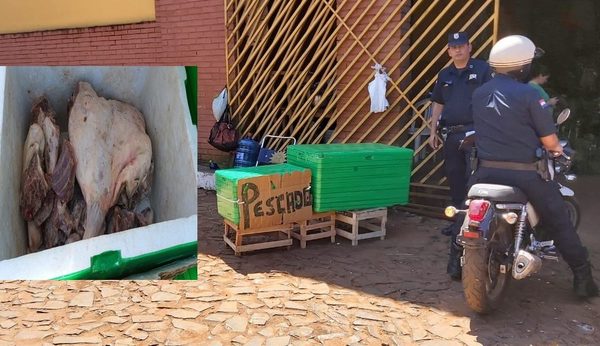 Incautan carne de carpincho que era comercializada