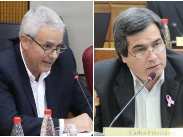 Proyectos por caso Arrom y Martí generan tensión en el Senado