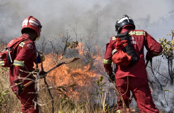 Bolivia diseña plan de reforestación tras incendios
