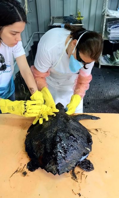 Venezuela niega responsabilidad por derrame de crudo en playas de Brasil