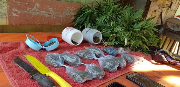 desbaratan esquema de distribución de cocaína y marihuana en Kambala