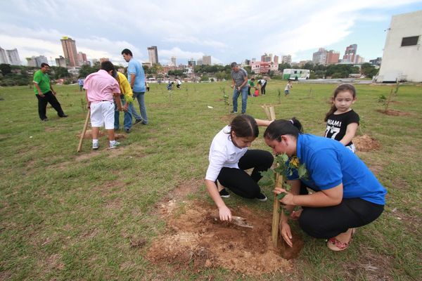 Costanera: Harán túnel con árboles de lapacho en homenaje a mujeres