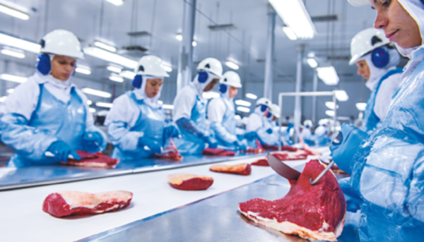 Minerva deja en standby oferta pública de subsidiaria Athena Foods por “efecto” China