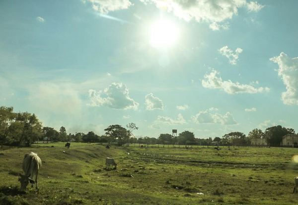 Anuncian jornada soleada con máximas de 40 grados | .::Agencia IP::.