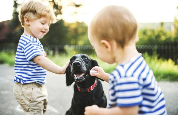 Cómo sacar el miedo de niños a animales - Mascotas - ABC Color