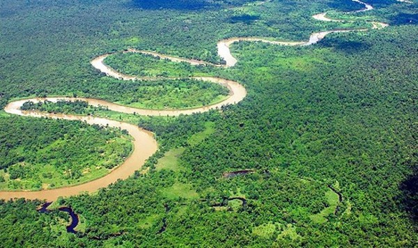 Bolsonaro asegura que la Amazonía está "casi totalmente preservada" » Ñanduti