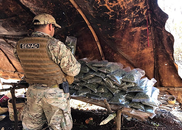 Destruyen 22 campamentos narcos en Amambay