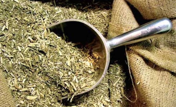 HOY / Día Nacional de la Yerba: nada que celebrar, dicen productores