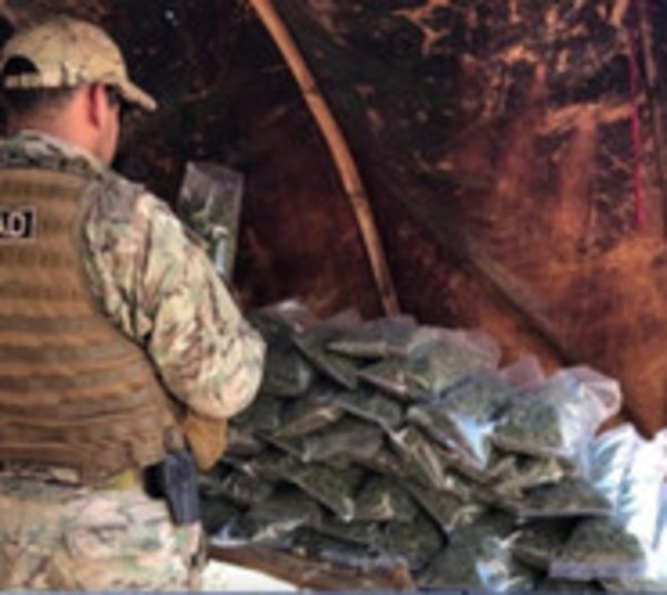 Desmantelan 22 campamentos narco en Amambay - Paraguay.com