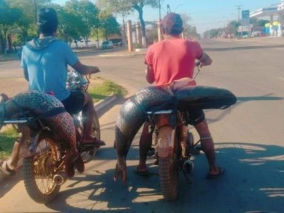Surubís sobre moto causan furor en Concepción