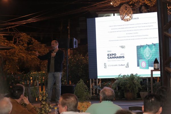 Instan a crear cámara de cannabis industrial