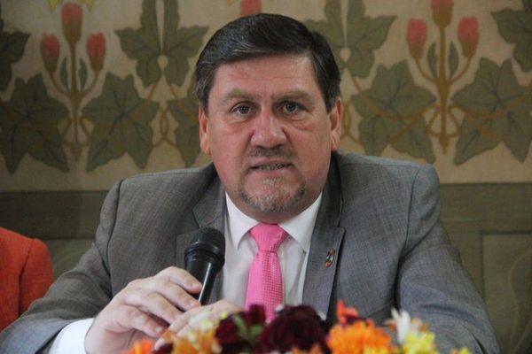 Presidente del Senado no descarta interpelación para Patricia Samudio de Petropar